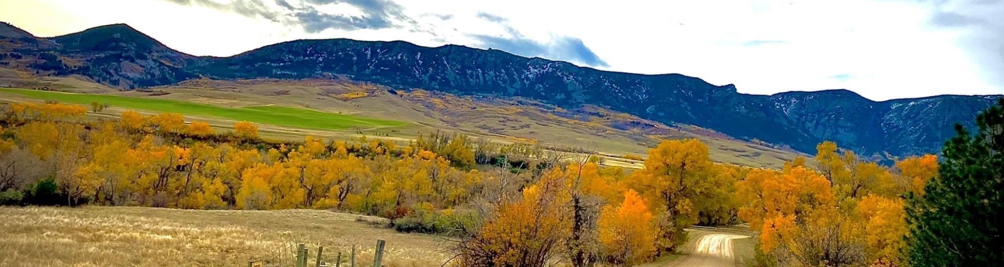 Big Horn Mountains in background with rolling hills in front